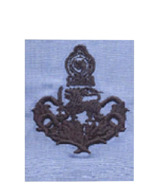 Air Chief Marshal